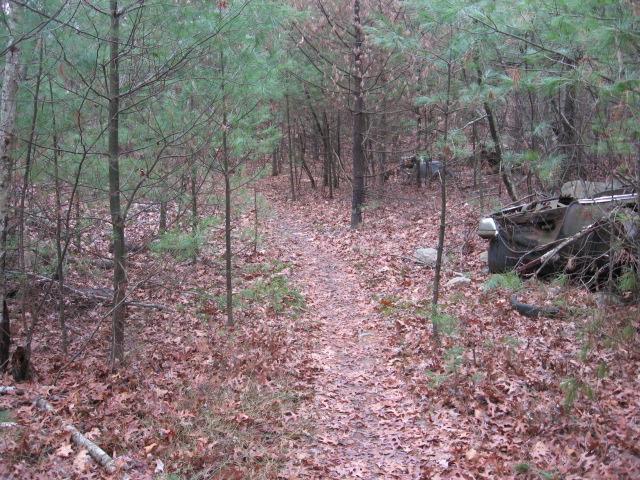A narrow path through a wooded area, surrounded by small evergreen trees and fallen leaves. An old, abandoned vehicle is partially visible on the right side of the image, blending into the natural surroundings. The scene conveys a sense of nature reclaiming the space. Landlocked Forest mountain bike trail.