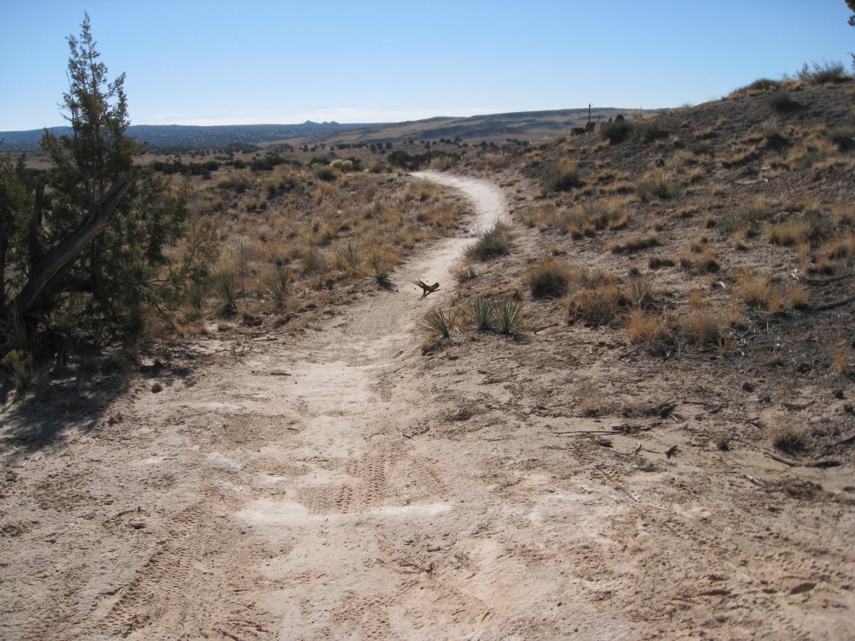 A winding dirt path curves through a desert landscape, surrounded by sparse vegetation and low shrubs under a clear blue sky. White Ridge Bike Trails mountain bike trail.