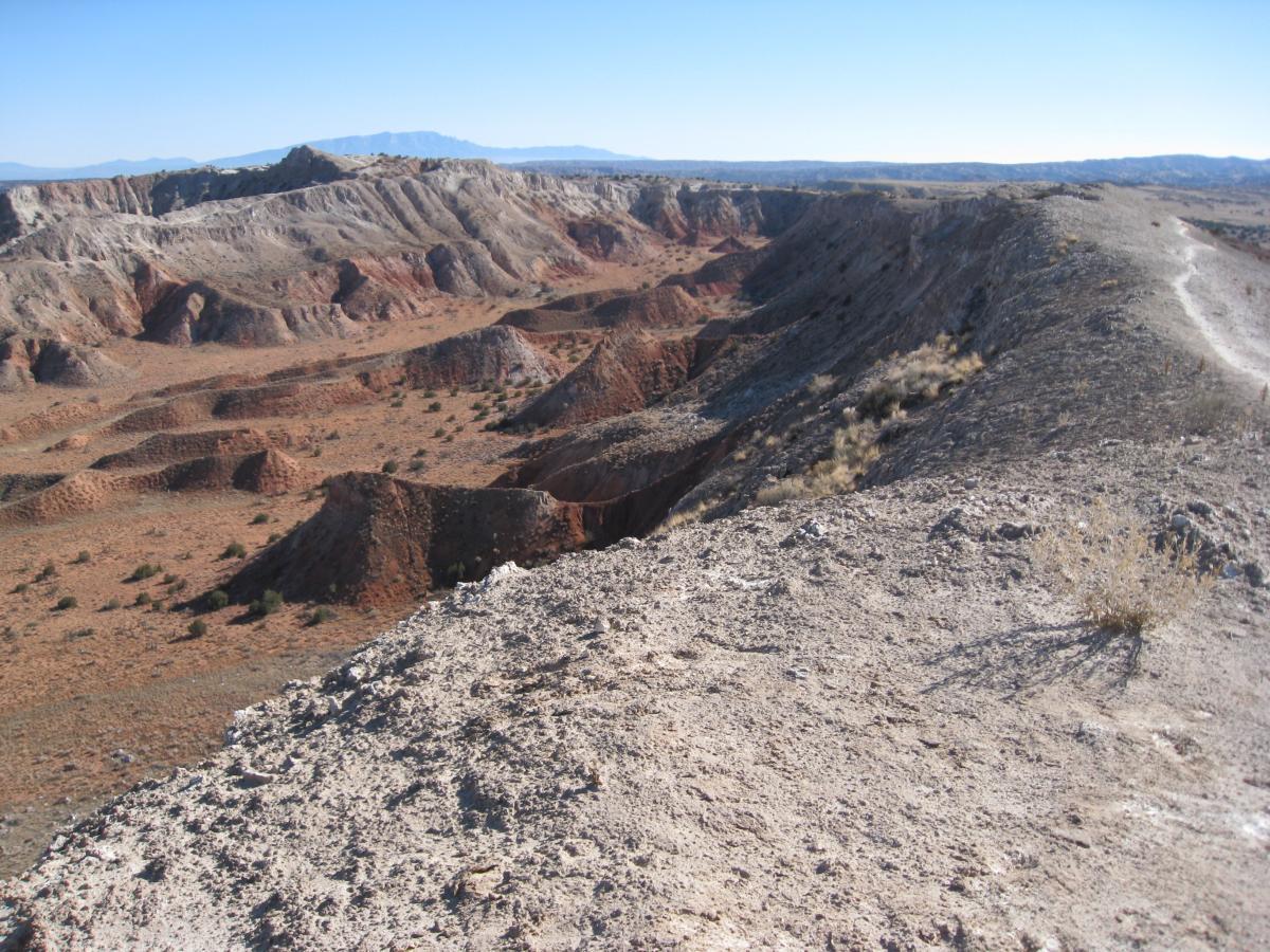 A panoramic view of a rugged, arid landscape featuring layered hills and deep canyons. The terrain is characterized by reddish and grayish tones with sparse vegetation. In the background, distant mountains are visible under a clear blue sky. A winding dirt path runs along the ridge, inviting exploration of the unique geological formations. White Ridge Bike Trails mountain bike trail.