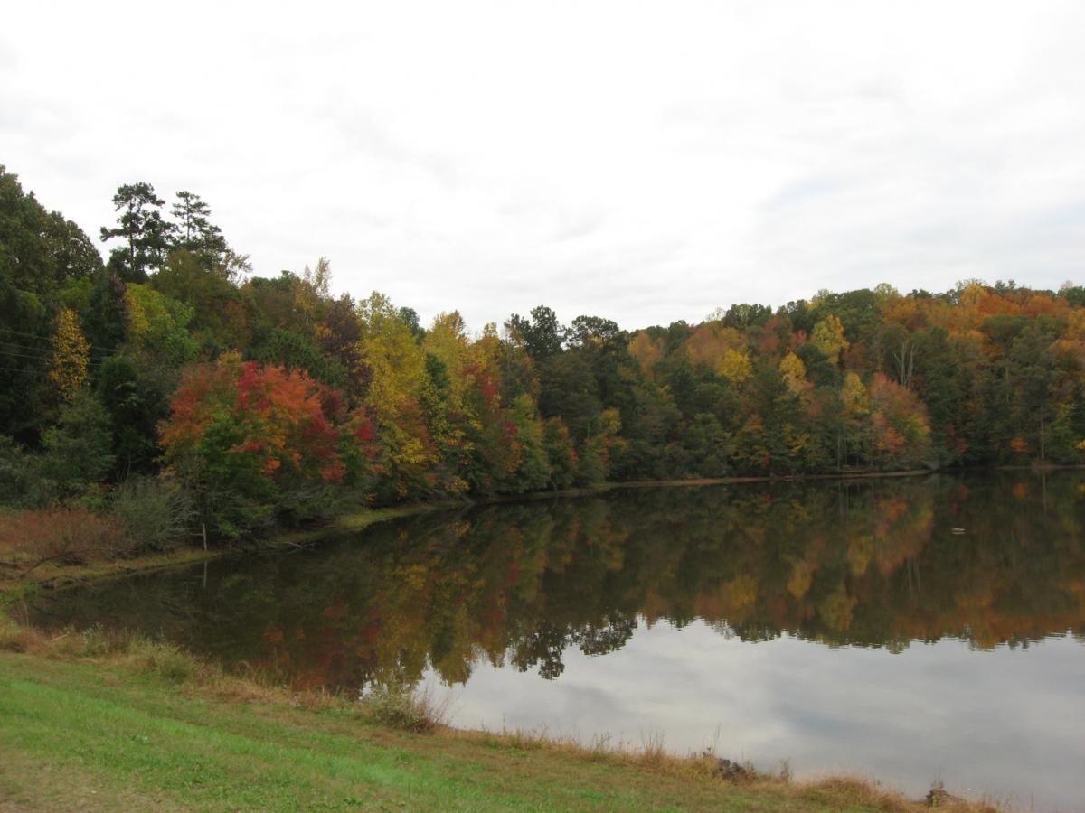 A serene lakeside scene featuring trees in vibrant autumn colors, reflected in the still water of the lake. The sky is overcast, adding a soft, diffused light to the landscape. The grassy shore blends into the natural vegetation surrounding the lake. Lake Herrick mountain bike trail.