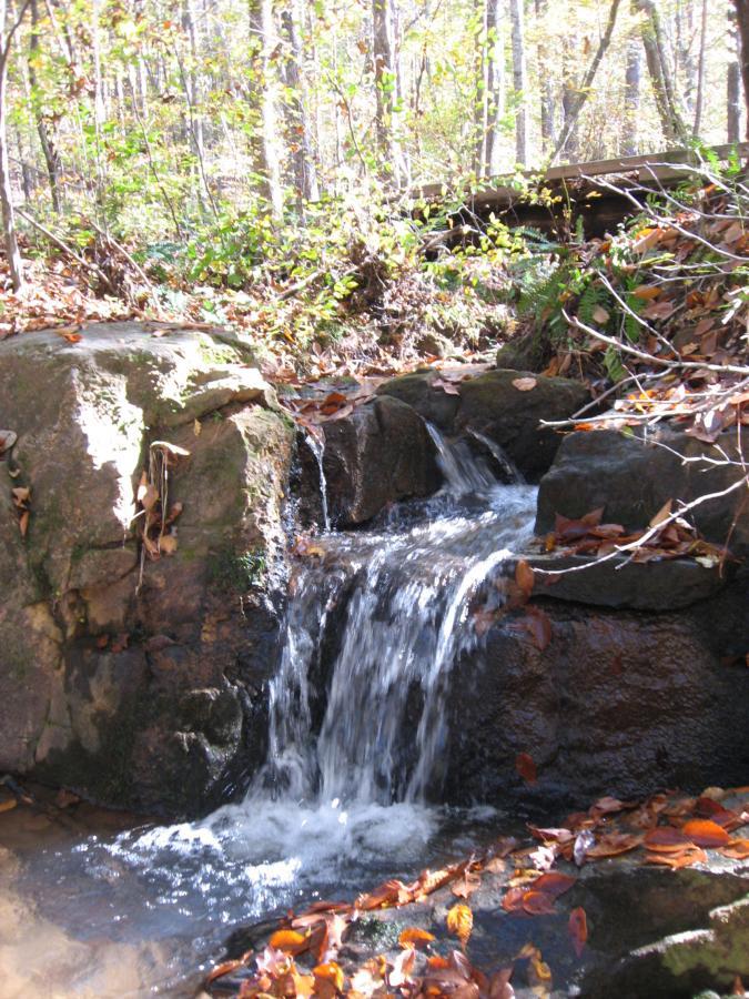 A small cascading waterfall flows over rocky ledges, surrounded by colorful autumn leaves and lush greenery in a serene forest setting. Heritage Park mountain bike trail.