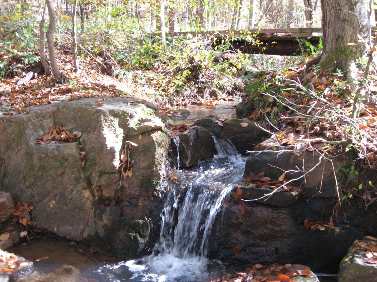 A small stream flows over rocks in a wooded area, surrounded by autumn leaves and trees. A wooden bridge is visible in the background, adding to the serene natural setting. Heritage Park mountain bike trail.