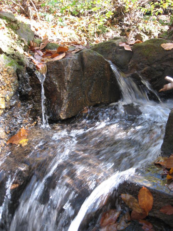 A small stream of water cascading over rocky surfaces, surrounded by autumn leaves and greenery. The sunlight filters through the trees, highlighting the flowing water and creating a tranquil natural scene. Heritage Park mountain bike trail.