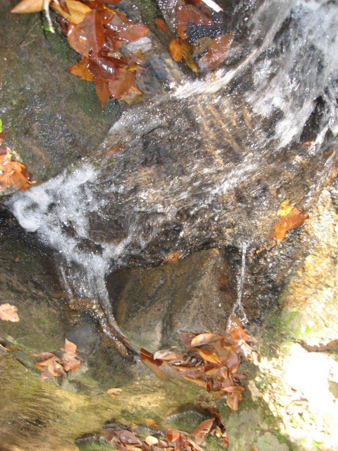A close-up view of a natural water flow cascading over smooth rocks, surrounded by fallen autumn leaves in various shades of orange and brown. The sunlight reflects off the water, creating a sparkling effect. Heritage Park mountain bike trail.