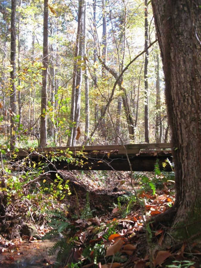 A wooden bridge spans a small creek in a serene forest setting, surrounded by tall trees with autumn leaves. The ground is blanketed with fallen leaves and lush green ferns, enhancing the peaceful natural scene. Sunlight filters through the trees, creating a warm, inviting atmosphere. Heritage Park mountain bike trail.