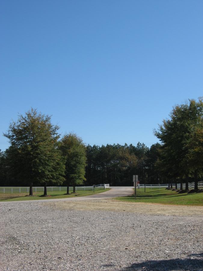 A gravel road leading through a grassy area lined with trees on either side, leading towards a paved path that extends into the distance. In the background, there are dense trees, and the sky is clear and blue, indicating a sunny day. Heritage Park mountain bike trail.
