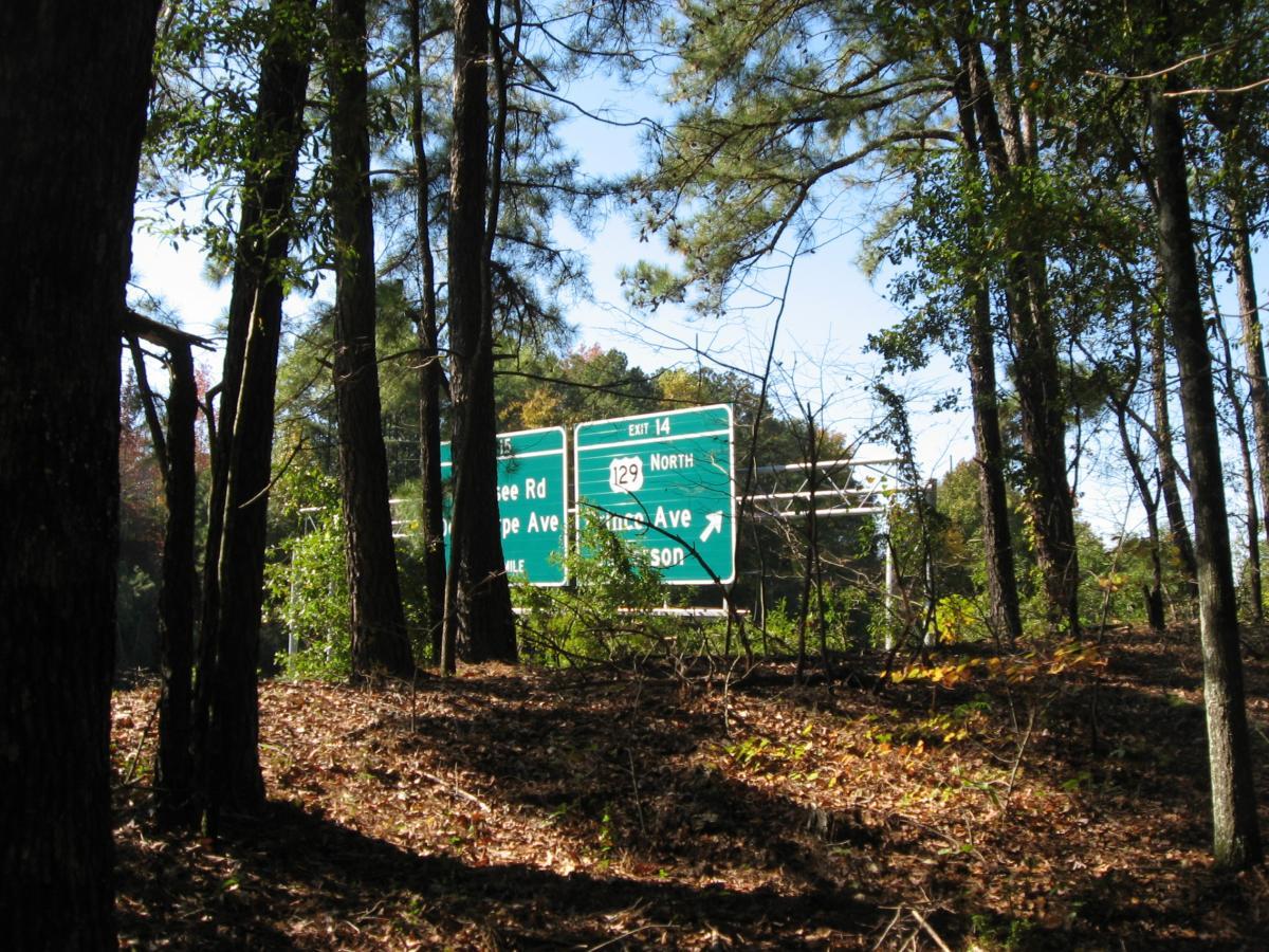A roadside sign partially visible through trees, indicating directions for Exit 14, including "129 North" and locations such as "Nancytsee Rd" and "Hope Ave." The setting is a wooded area with fallen leaves on the ground. Chase Street mountain bike trail.