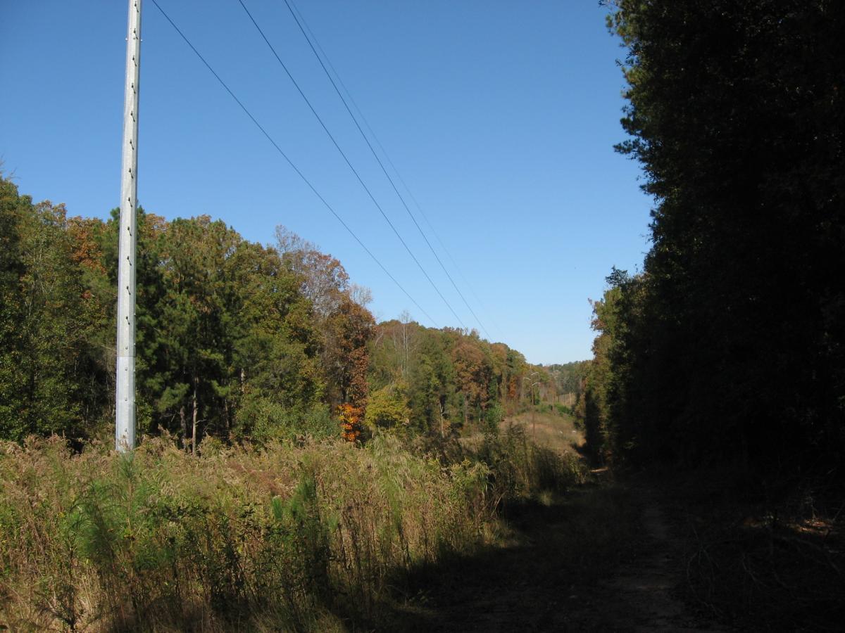 A dirt path lined by trees and greenery, with a utility pole on the left and power lines running overhead. The backdrop features a clear blue sky and foliage exhibiting autumn colors. Mitchell Bridge Loop mountain bike trail.