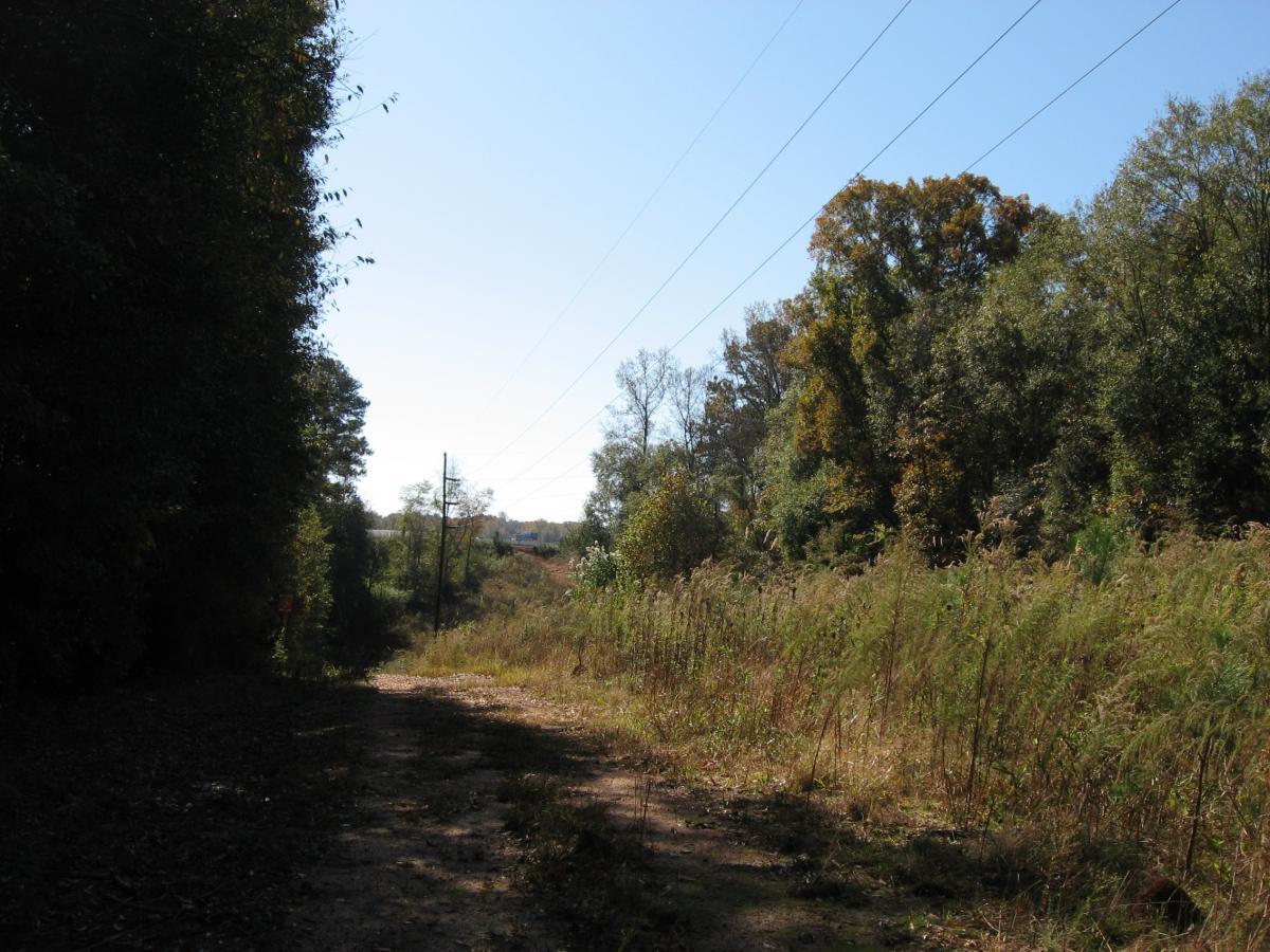 A dirt path lined by trees and tall grass on either side, leading into the distance under a clear blue sky. Power lines are visible along the path, suggesting a rural setting. The scene captures the tranquility of nature on a sunny day. Mitchell Bridge Loop mountain bike trail.