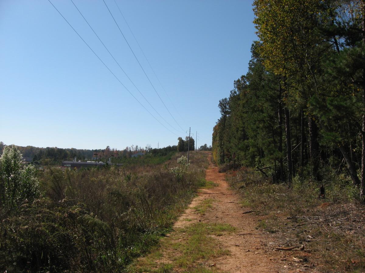 A dirt path running through a wooded area with power lines overhead, flanked by tall trees and scattered vegetation. The sky is clear and blue, indicating sunny weather. In the background, a glimpse of buildings can be seen along the edge of a hill. Mitchell Bridge Loop mountain bike trail.