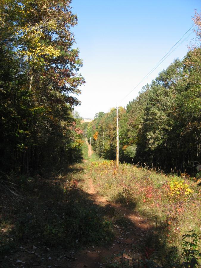 A dirt path flanked by lush greenery leads into a wooded area with colorful autumn foliage. A utility pole stands along the right side of the path, and a clear blue sky stretches above. Lake Herrick mountain bike trail.