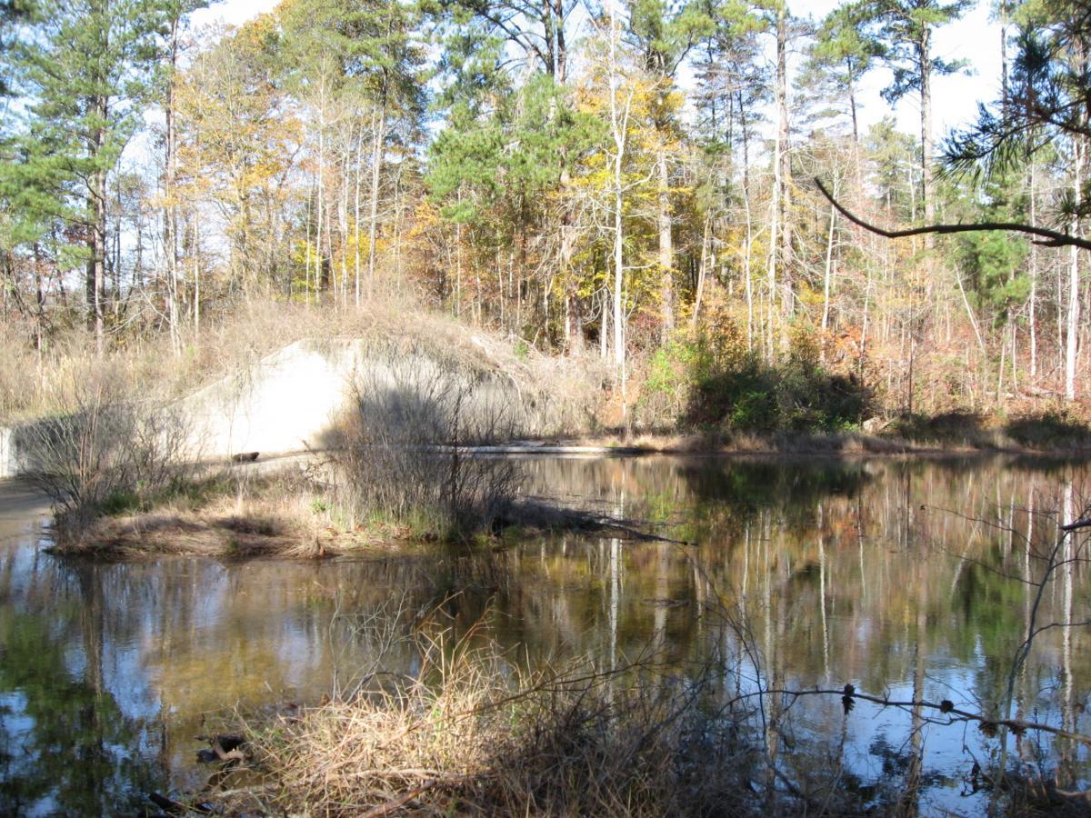Image of a tranquil pond surrounded by autumn foliage and dense trees, featuring a partially submerged concrete structure. The water reflects the surrounding landscape, with patches of dry grass and shrubs along the shore. Lake Russell Loop mountain bike trail.