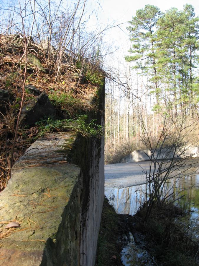A view of a rocky ledge covered with small plants and grasses, leading down to a calm water body. Tall trees are visible in the background, and a portion of a concrete structure is partially seen along the water's edge, suggesting an area of natural beauty intertwined with remnants of human construction. Lake Russell Loop mountain bike trail.