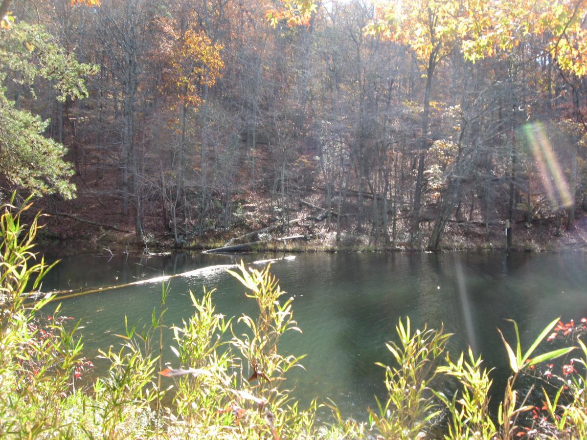 A serene view of a calm body of water surrounded by autumn-colored trees. Sunlight filters through the leaves, illuminating the scene with a warm glow. In the foreground, lush green and red foliage frames the water's edge, while a line of trees provides a backdrop of earthy tones. The tranquil setting evokes a peaceful ambiance. Lake Russell Loop mountain bike trail.