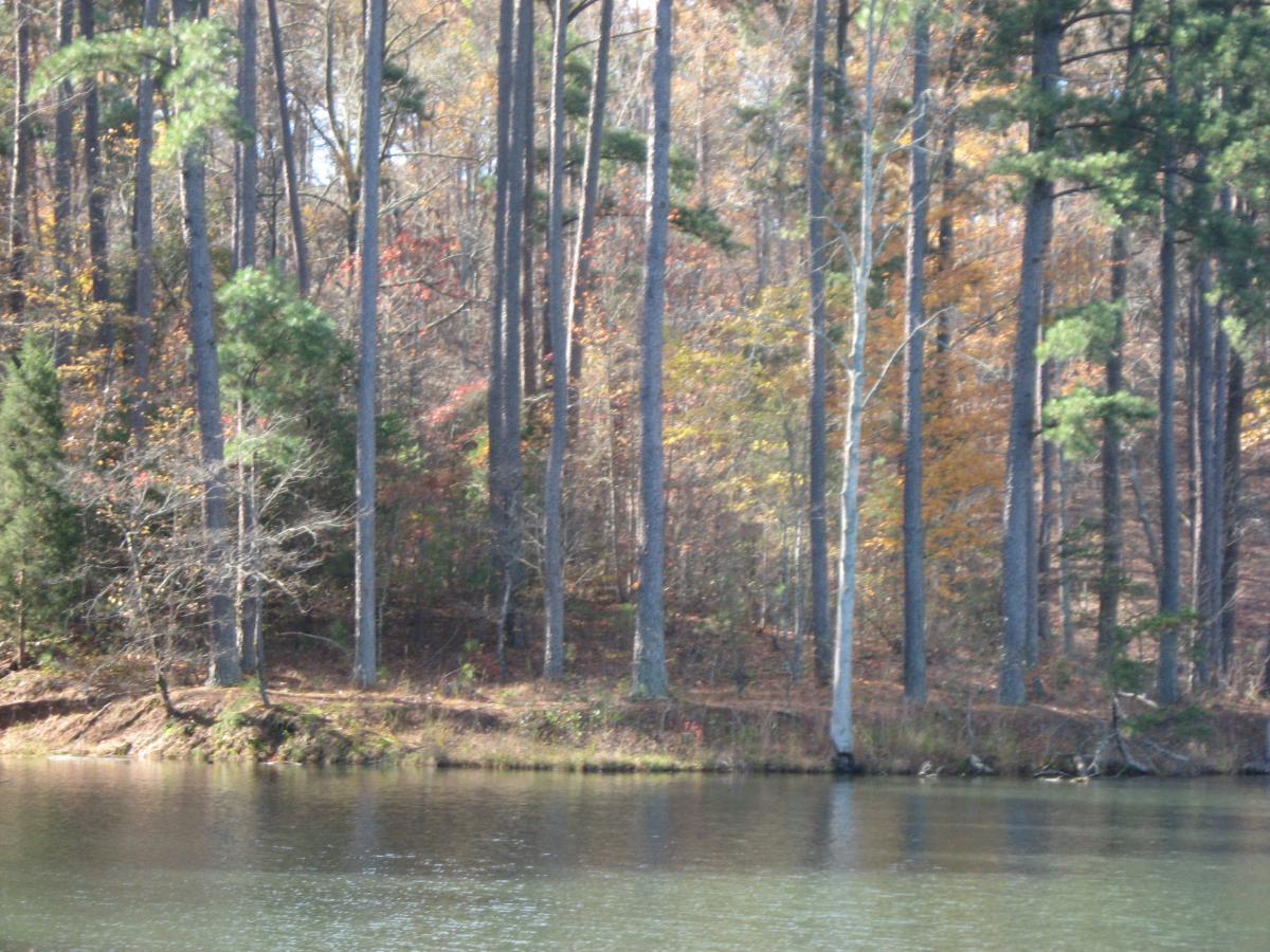A serene lakeside scene featuring tall trees with colorful autumn foliage reflecting off the calm water. The landscape includes a mix of evergreen and deciduous trees, showcasing shades of green, yellow, and red. The shoreline is natural, framing the peaceful atmosphere of the setting. Lake Russell Loop mountain bike trail.