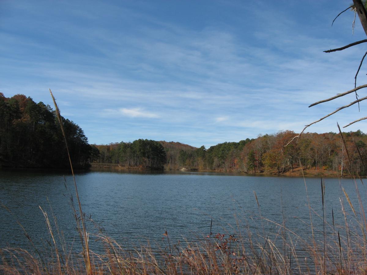 A serene view of a calm lake surrounded by trees in autumn colors, with a clear blue sky overhead. Tall grasses frame the foreground, adding to the peaceful natural setting. Lake Russell Loop mountain bike trail.