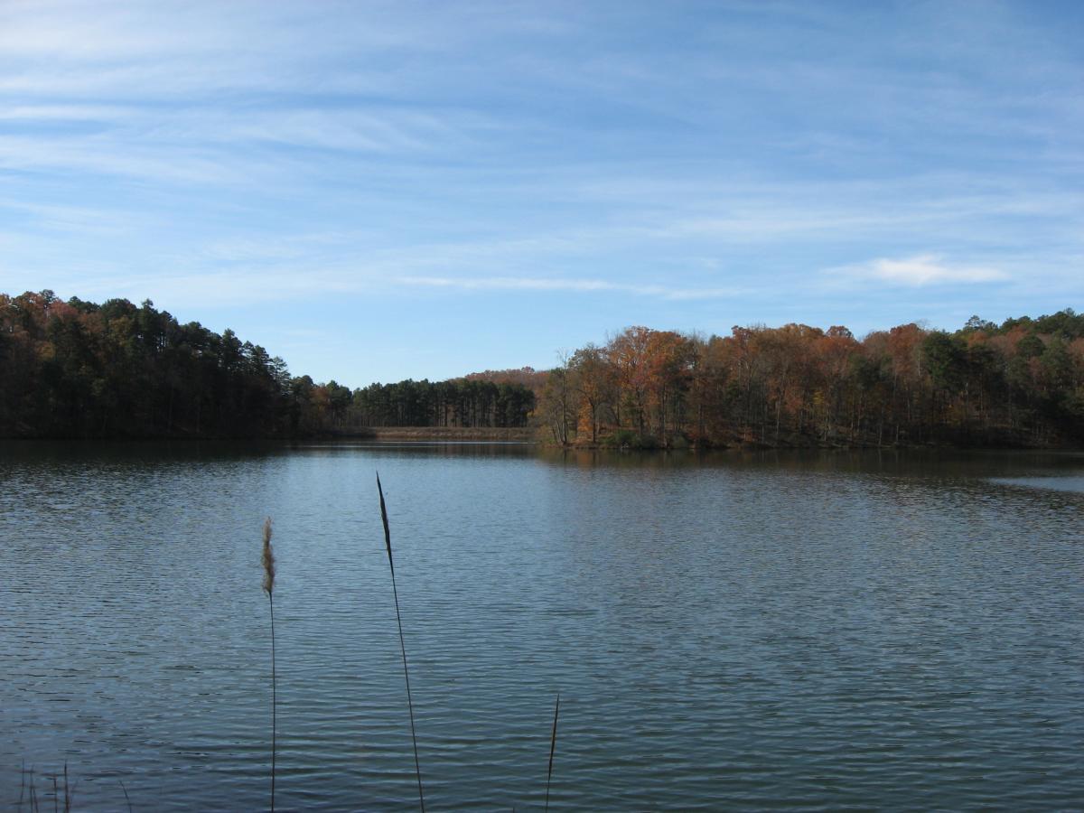 A tranquil lake scene surrounded by autumn-colored trees under a clear blue sky. The calm water reflects the landscape, with tall grasses in the foreground. Lake Russell Loop mountain bike trail.