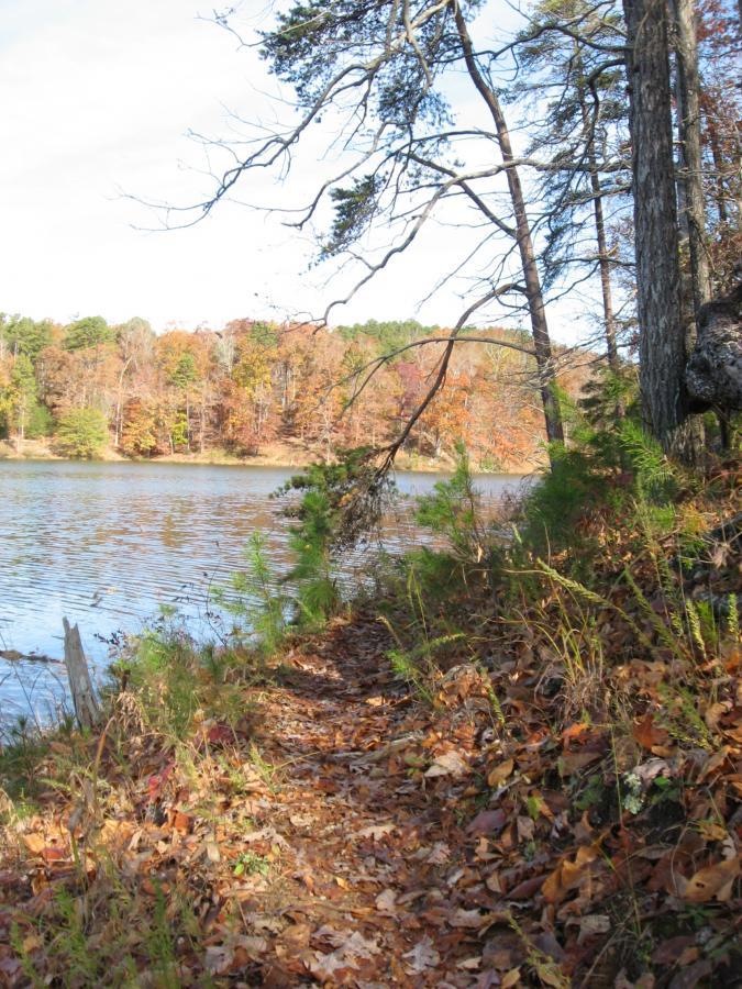 Serene lakeside path surrounded by trees with autumn foliage, leading along the water's edge. The ground is covered with fallen leaves, and the scene is illuminated by soft natural light. Lake Russell Loop mountain bike trail.