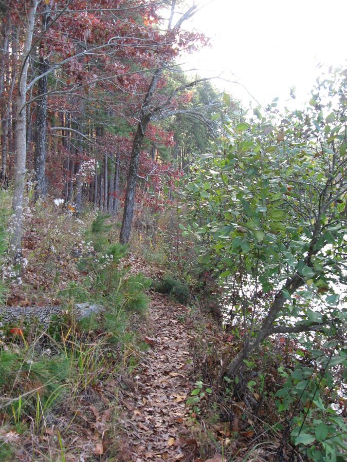 A narrow, winding path lined with trees and shrubs along the edge of a body of water, with autumn foliage in shades of red and green. The ground is covered with fallen leaves, and the scene is illuminated by soft, natural light. Lake Russell Loop mountain bike trail.