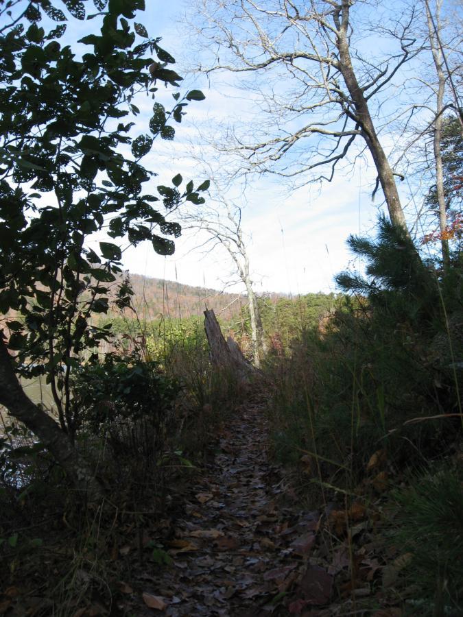 A narrow, winding trail surrounded by trees and foliage, leading through a wooded area near a body of water. The path is covered with fallen leaves, and the landscape features a mix of greenery and autumn colors in the background. The sky is mostly clear, providing a serene atmosphere. Lake Russell Loop mountain bike trail.