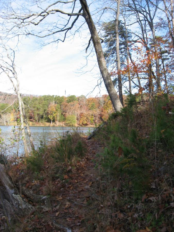 A serene lakeside path bordered by trees, with autumn foliage in shades of orange and yellow. The water reflects the clear sky, and fallen leaves cover the ground, creating a tranquil natural setting. Lake Russell Loop mountain bike trail.