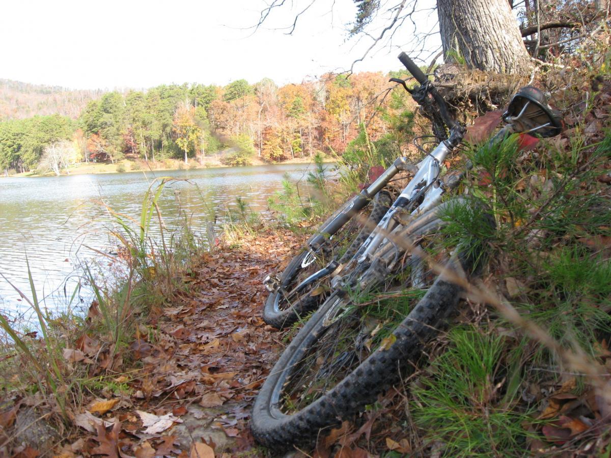 Two mountain bikes leaning against a tree on a grassy bank by a lake, surrounded by fallen leaves and autumn foliage. The scene captures the tranquility of nature with a view of distant trees reflecting on the water's surface. Lake Russell Loop mountain bike trail.