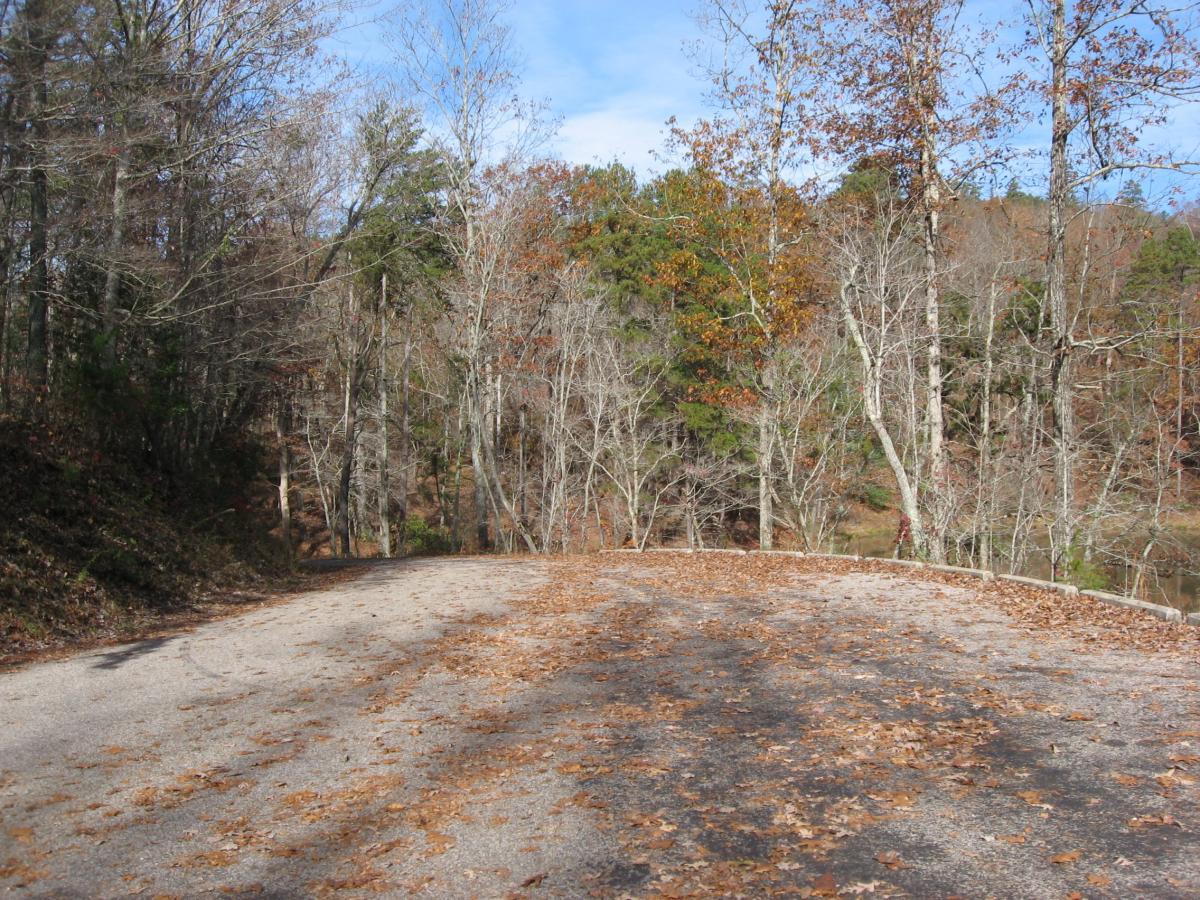 A winding, unpaved road surrounded by trees in autumn, with scattered fallen leaves on the ground and a clear blue sky above. Lake Russell Loop mountain bike trail.