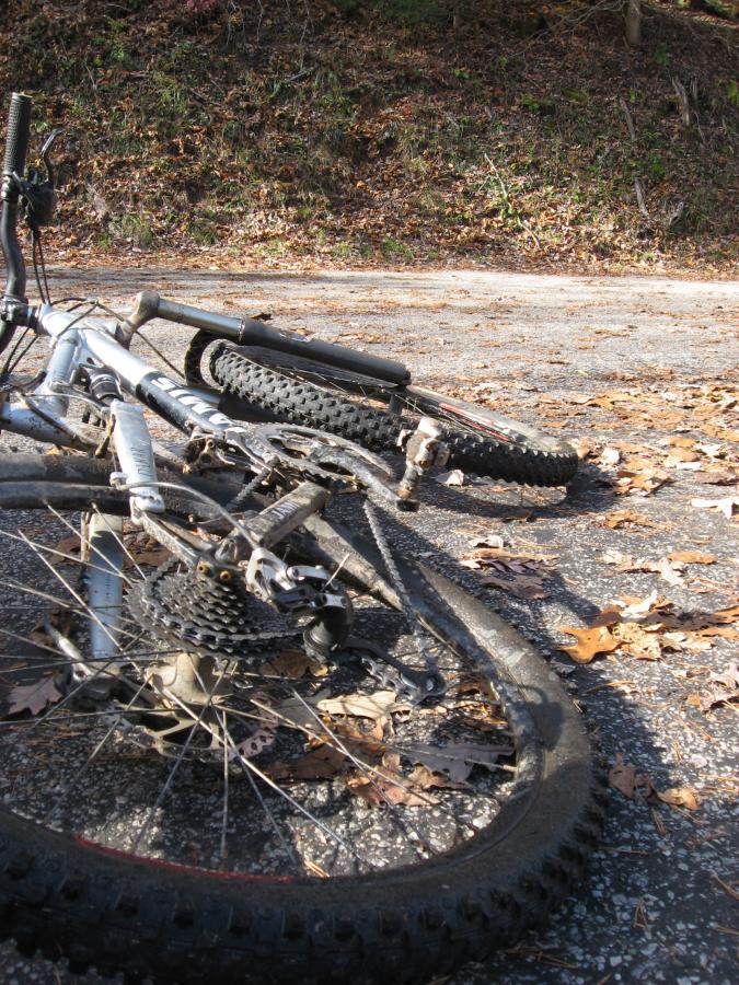 A close-up view of a mountain bike lying on a paved surface, partially obscured by fallen leaves. The bike is angled to show its frame, wheels, and drivetrain components, with visible dirt and signs of wear. The background features a wooded area with greenery and scattered leaves. Lake Russell Loop mountain bike trail.