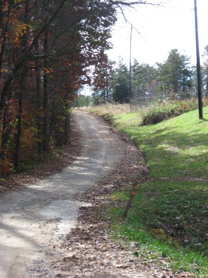 A winding dirt road flanked by trees with autumn foliage, leading into a scenic landscape. Sunlight filters through the branches, illuminating the path and surrounding greenery, with a hint of a grassy area on the right and power lines in the background. Currahee Mountain Road mountain bike trail.