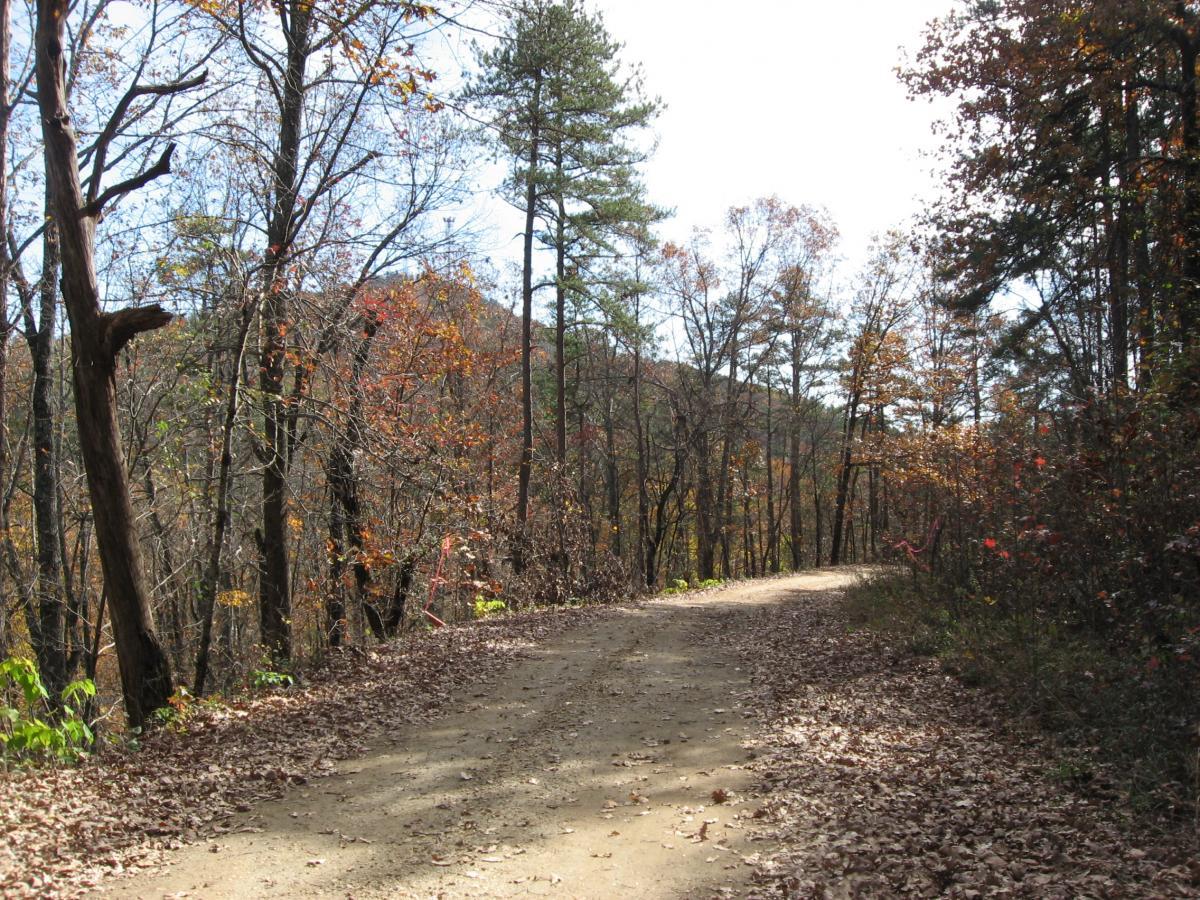 A peaceful dirt path winding through a forest filled with autumn foliage, showcasing trees with colorful leaves and a backdrop of distant hills under a partly cloudy sky. Currahee Mountain Road mountain bike trail.