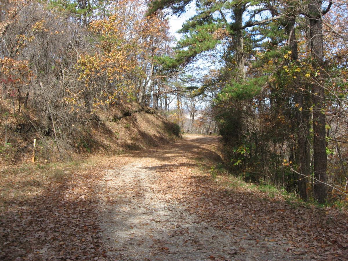 A scenic dirt path winding through a wooded area, lined with trees displaying autumn foliage. The ground is covered with fallen leaves, and the sunlight filters through the branches, creating a peaceful and tranquil atmosphere. Currahee Mountain Road mountain bike trail.