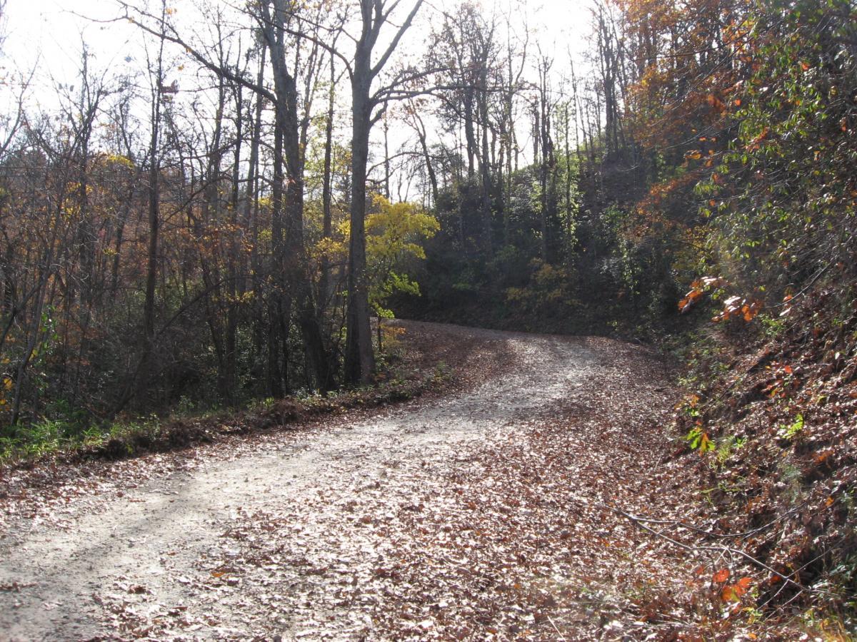 A winding dirt path covered in fallen leaves, surrounded by trees in various stages of autumn foliage. The sun shines through the branches, casting gentle light on the scene, creating a serene, picturesque environment. Currahee Mountain Road mountain bike trail.