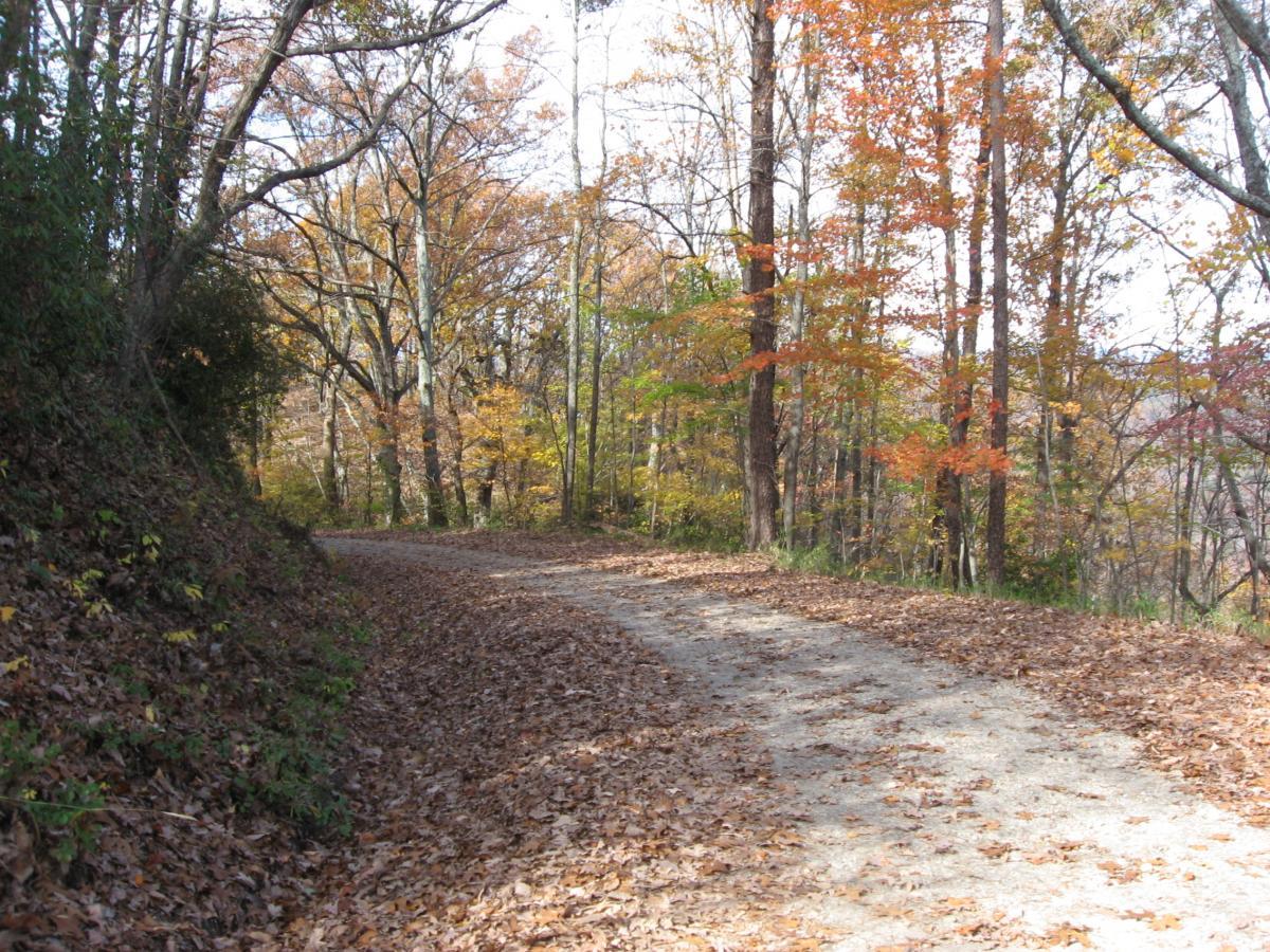 A winding dirt path through a forest, surrounded by trees showcasing autumn foliage with vibrant shades of orange and yellow. The ground is covered in fallen leaves, and sunlight filters through the branches, creating a serene, picturesque atmosphere. Currahee Mountain Road mountain bike trail.