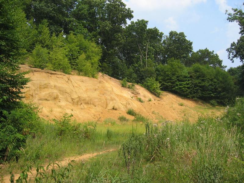 A sandy hillside covered with sparse vegetation, surrounded by a mix of green trees and shrubs under a blue sky with scattered clouds. A dirt path runs through the grassy area in the foreground, leading toward the hillside. North Park mountain bike trail.