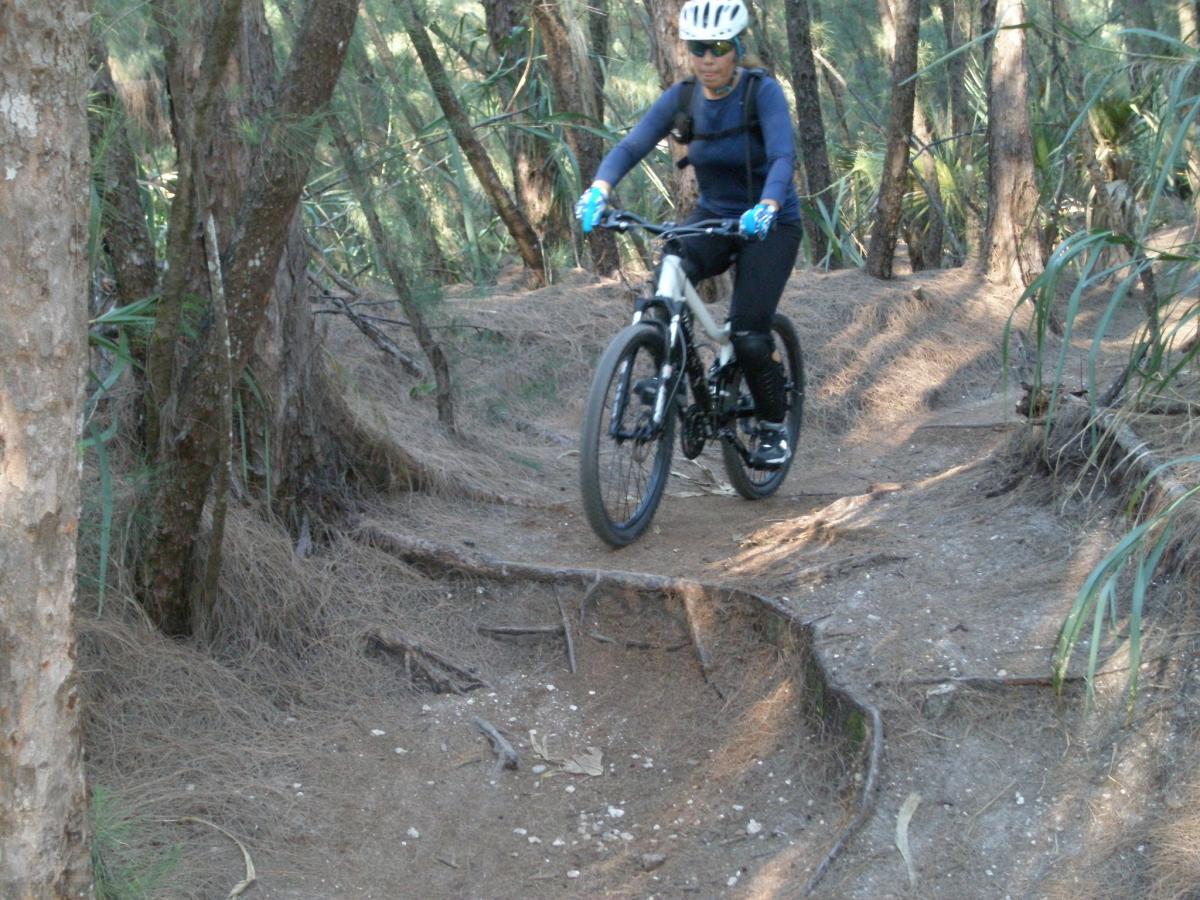 A person riding a mountain bike along a winding, dirt trail surrounded by trees and vegetation. The rider is wearing a helmet and blue gloves, navigating a path with visible tree roots and uneven terrain. Oleta River State Park mountain bike trail.
