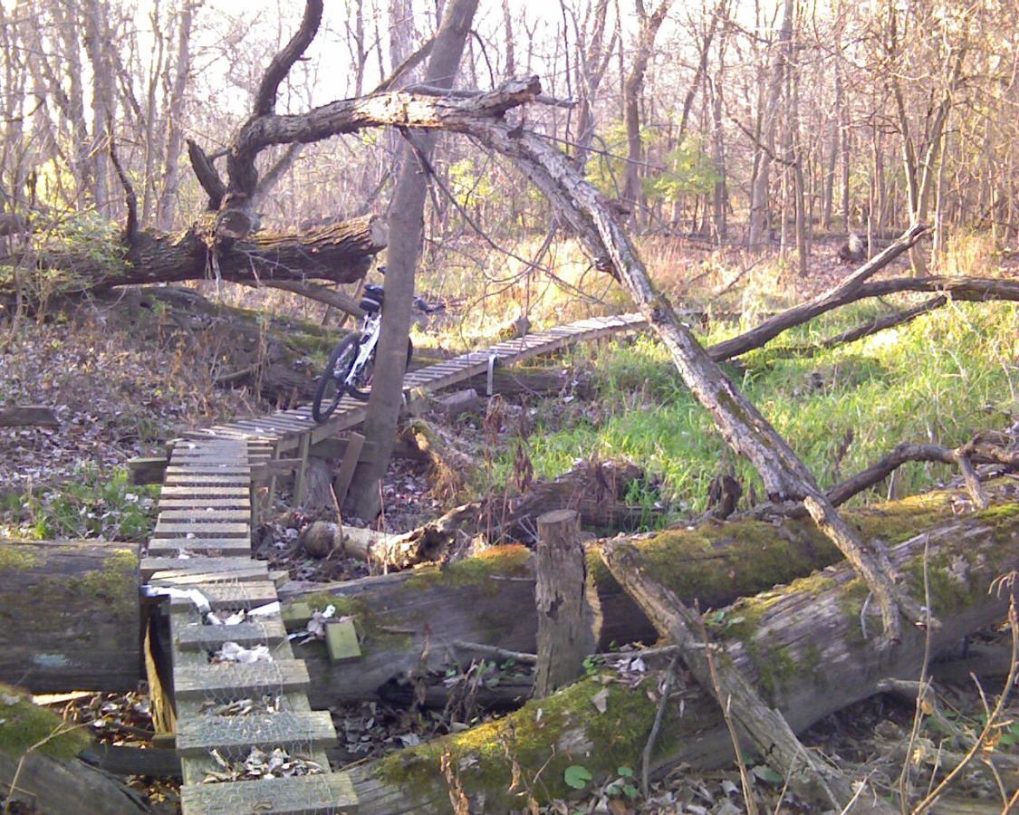 A narrow wooden plank bridge spans a small valley in a forest. Sunlight filters through the trees, illuminating fallen branches and patches of grass. In the background, a bicycle leans against a tree near the bridge. The area is covered with scattered leaves and mossy logs. Heritage Park mountain bike trail.