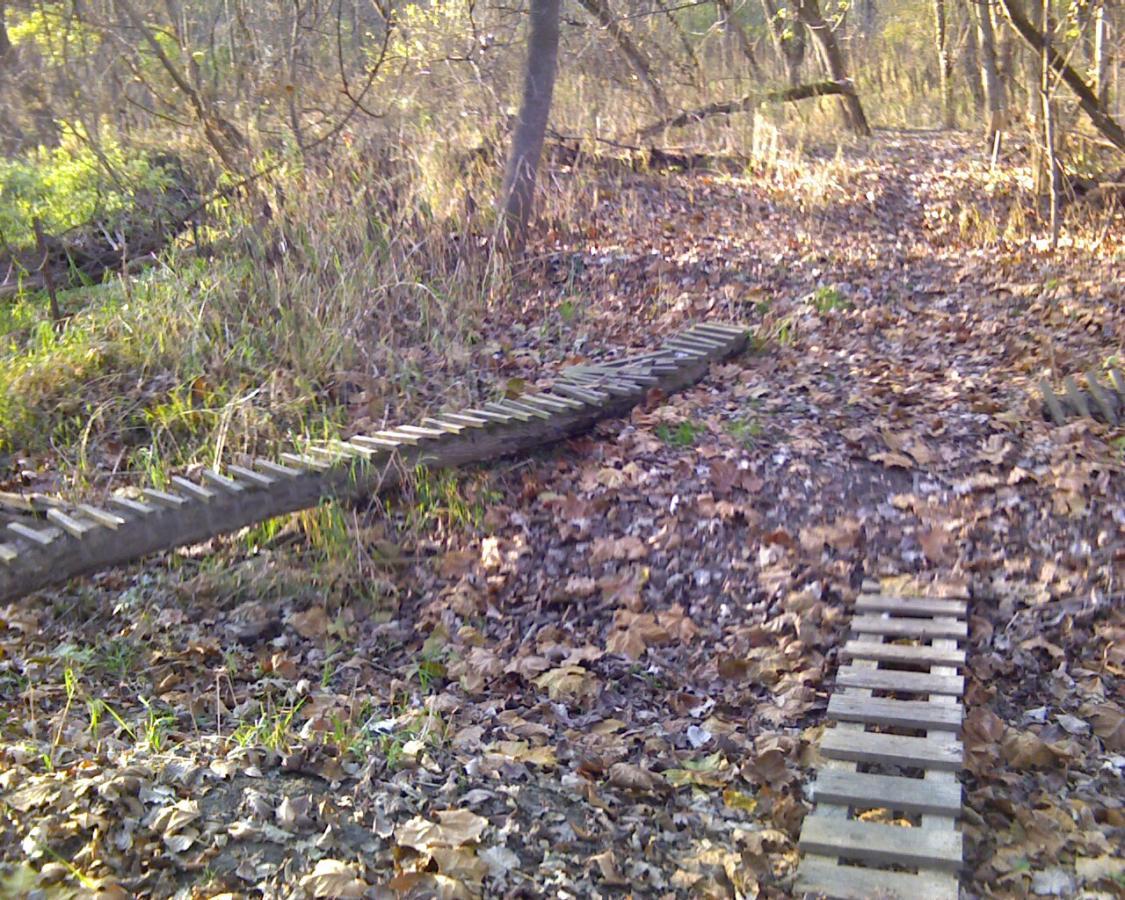 A woodland path covered in fallen leaves, with makeshift wooden bridges crossing over low, muddy areas. Sunlight filters through the trees, illuminating the greenery surrounding the trail. Heritage Park mountain bike trail.