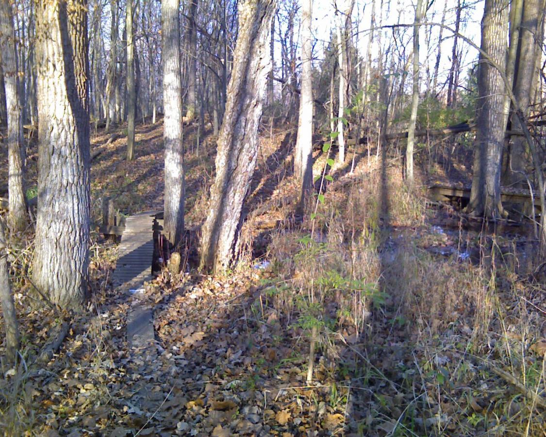 A serene woodland scene featuring a path made of wooden planks winding through a forest. Tall trees with textured bark tower over a carpet of fallen leaves, while patches of sunlight filter through the branches, illuminating the natural surroundings. The landscape appears tranquil, inviting a sense of exploration and connection with nature. Heritage Park mountain bike trail.