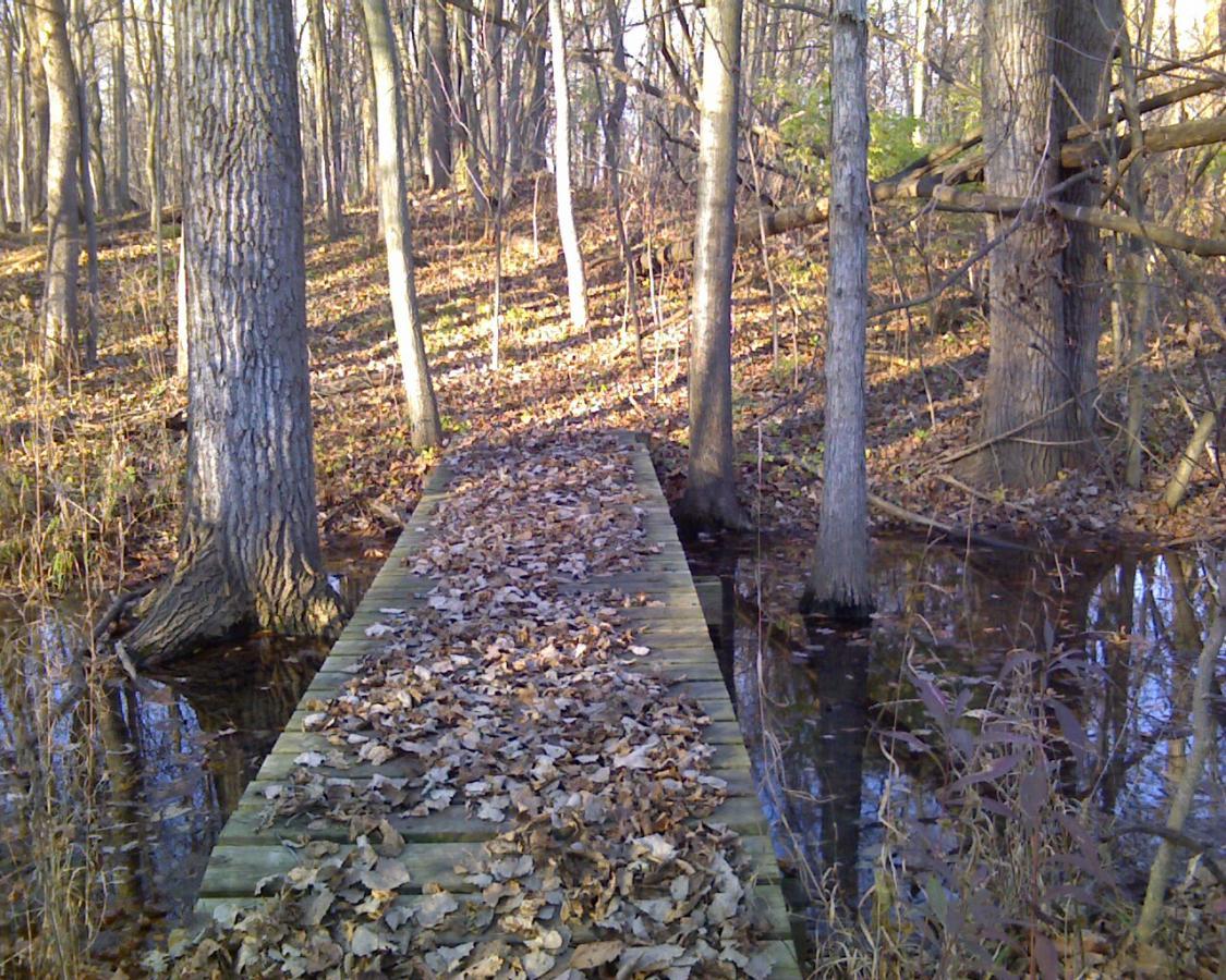 A narrow wooden boardwalk covered in fallen leaves stretches through a wooded area, surrounded by trees. The ground is wet, with water visible on either side of the path, reflecting the trunks of trees and the dappled sunlight filtering through the branches above. Heritage Park mountain bike trail.