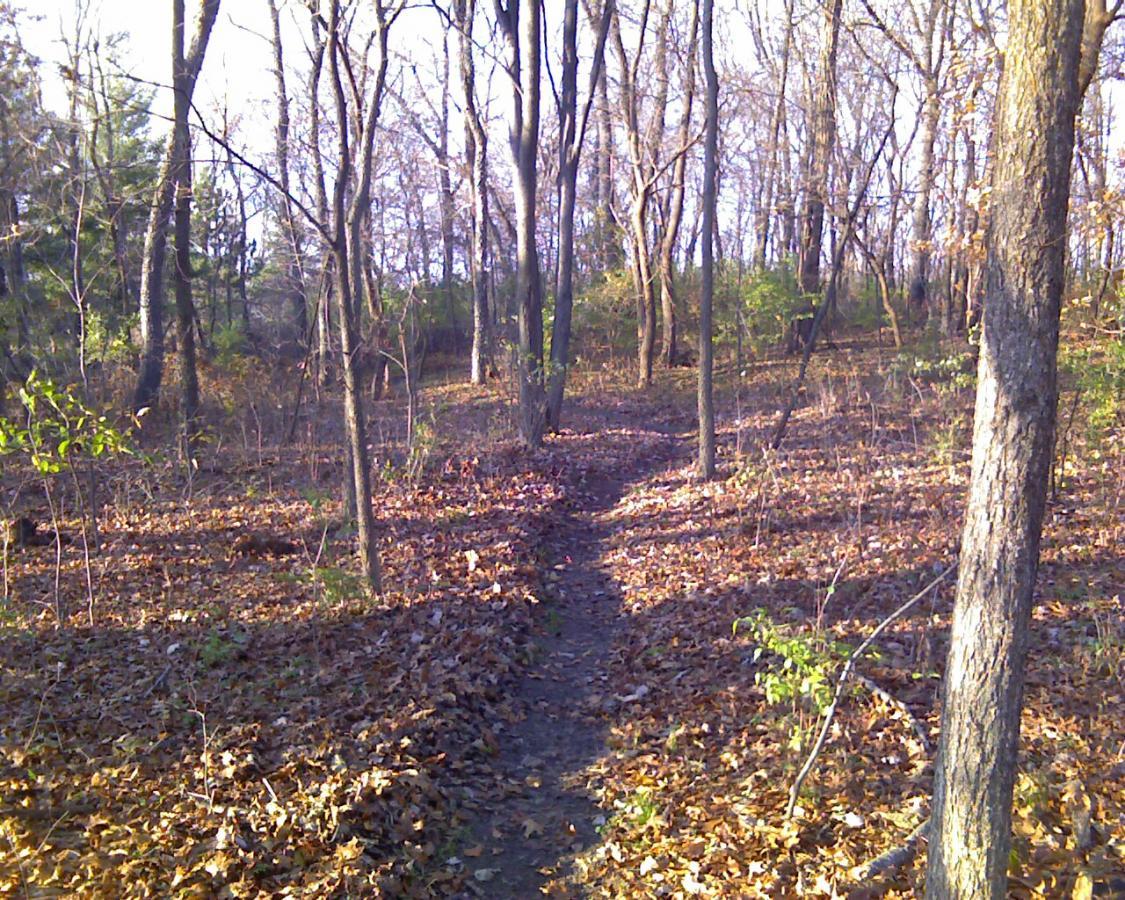 A narrow path winding through a wooded area with trees and fallen leaves scattered on the ground, illuminated by soft sunlight filtering through the branches. Heritage Park mountain bike trail.
