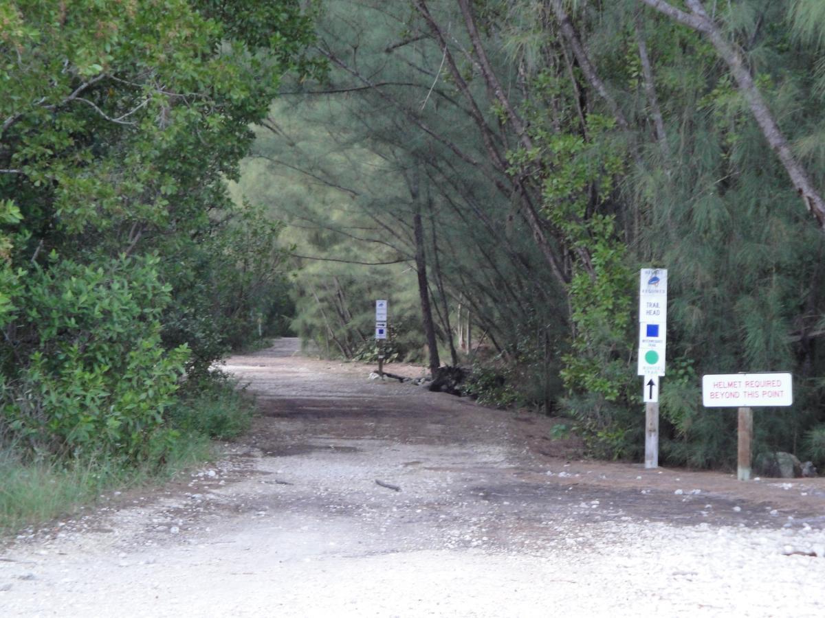 A dirt path leading into a wooded area, flanked by green foliage on both sides. Signs indicate the trail head and a requirement to wear a helmet beyond a certain point. The scene is well-lit, suggesting it is either early morning or late afternoon. Oleta River State Park mountain bike trail.