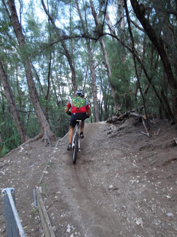 A cyclist riding uphill on a dirt trail surrounded by tall trees in a forested area. The cyclist is wearing a red jersey with a colorful design and a helmet, facing away from the camera. The trail is narrow and winding, with patches of gravel and dirt. Oleta River State Park mountain bike trail.