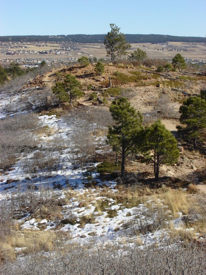 A scenic view showcasing a hillside with sparse vegetation, partially covered in snow. Pine trees are scattered across the landscape, and in the distance, a small town is visible nestled in a valley, surrounded by rolling hills. The sky is clear, suggesting a bright, sunny day. Monument Preserve mountain bike trail.