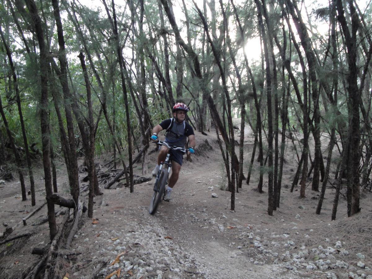 Mountain biker riding on a narrow dirt trail surrounded by tall trees in a forested area. Oleta River State Park mountain bike trail.