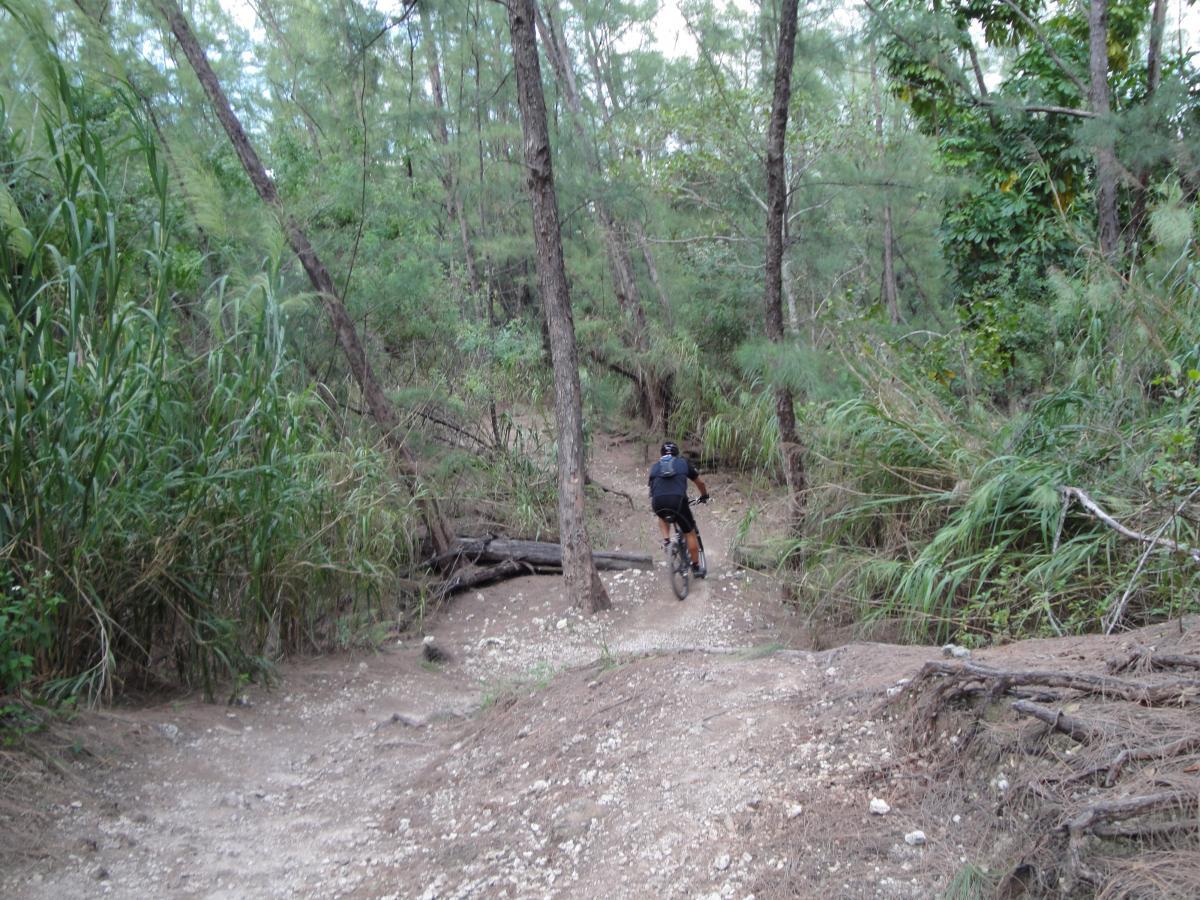 A person riding a mountain bike on a dirt trail through a dense forest, surrounded by tall grasses and trees. The path is uneven with rocks and fallen branches, indicating an adventurous biking environment. Oleta River State Park mountain bike trail.