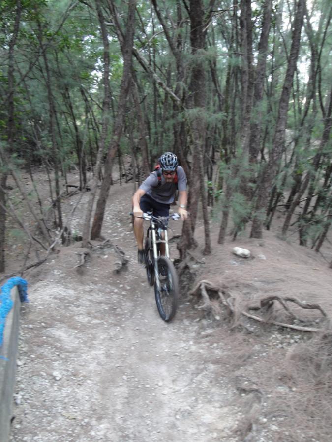 A person riding a mountain bike on a narrow trail surrounded by trees, navigating through a forested area with roots and loose gravel on the ground. The rider is wearing a helmet and a backpack, focused on the path ahead. Oleta River State Park mountain bike trail.