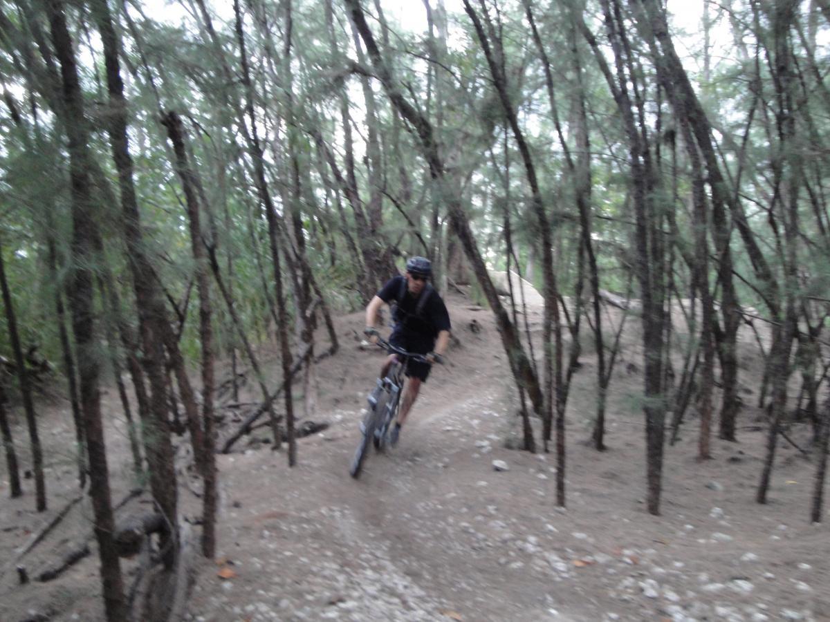 A person riding a mountain bike on a dirt trail surrounded by tall trees in a forested area. The cyclist is leaning into a turn, showcasing an action shot in a natural setting. Oleta River State Park mountain bike trail.