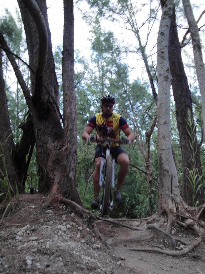 A mountain biker navigating a narrow dirt trail surrounded by trees, with roots exposed on the path. The cyclist is wearing a helmet and a colorful jersey while maneuvering through the forested area. Oleta River State Park mountain bike trail.