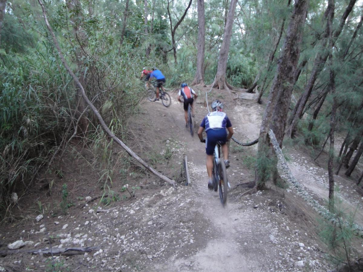 A group of three mountain bikers riding along a narrow trail through a wooded area, surrounded by trees and bushes. The trail is uneven and rocky, indicating a challenging terrain. Two riders are seen in the background, while one is riding ahead on the hillside. Oleta River State Park mountain bike trail.