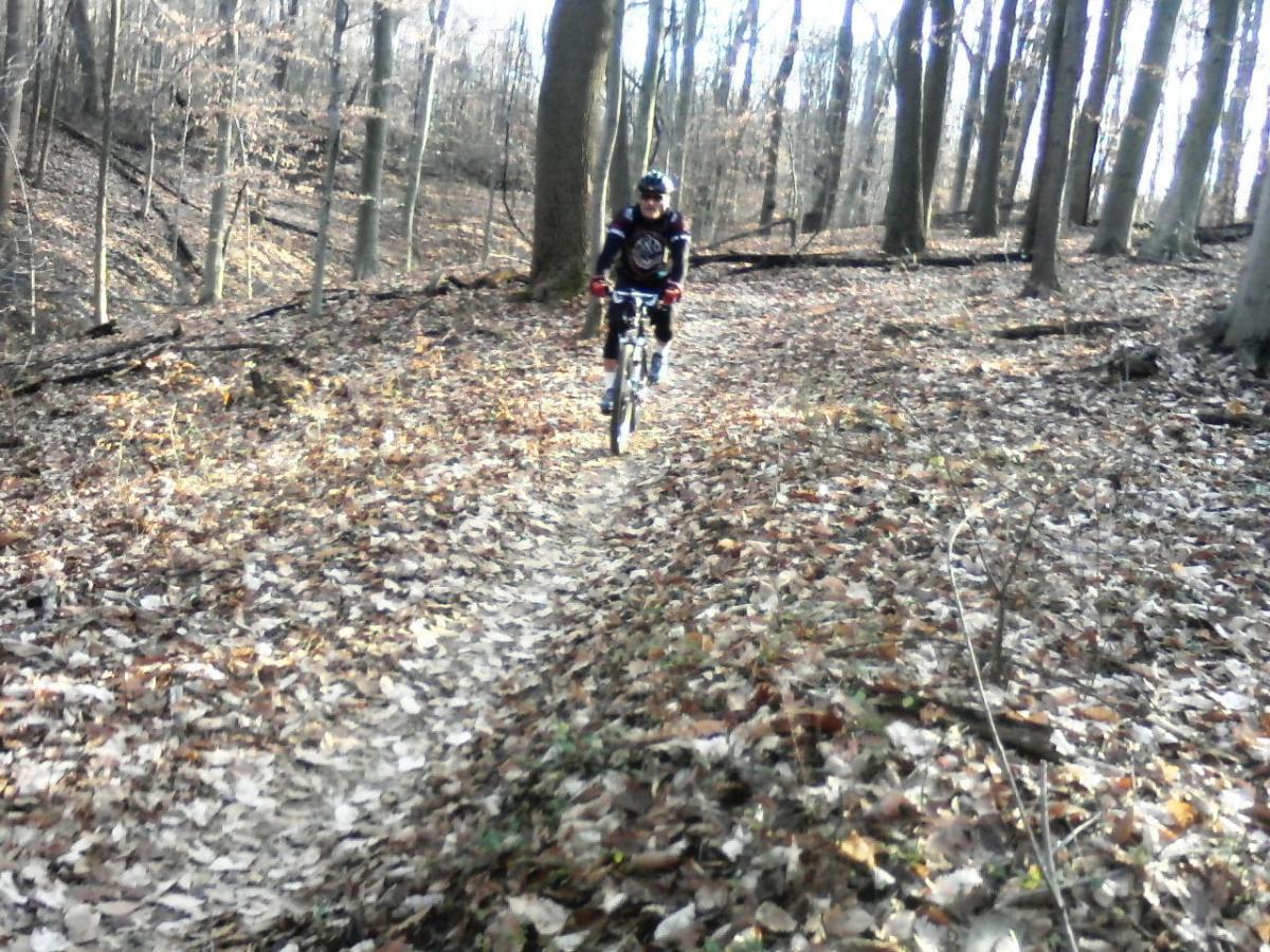A mountain biker riding along a dirt trail covered with fallen leaves, surrounded by trees in a wooded area during autumn. Rosaryville State Park mountain bike trail.